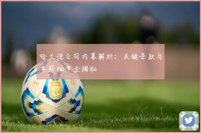 哈兰德合同内幕解析:关键条款与年薪细节全揭秘