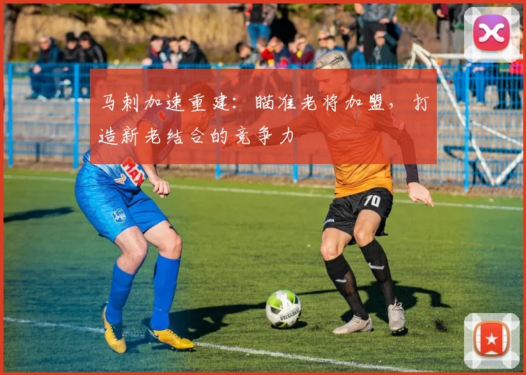 马刺加速重建:瞄准老将加盟,打造新老结合的竞争力