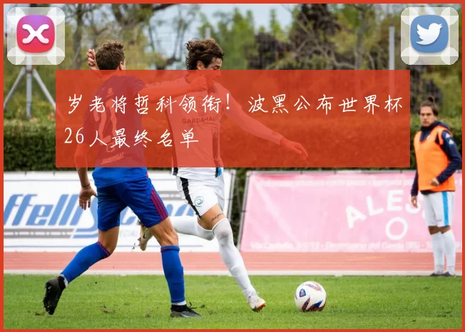 岁老将哲科领衔!波黑公布世界杯26人最终名单