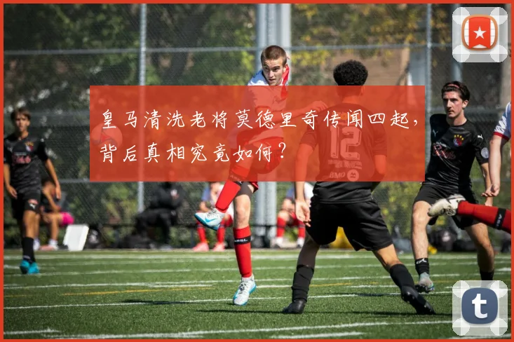 皇马清洗老将莫德里奇传闻四起,背后真相究竟如何?